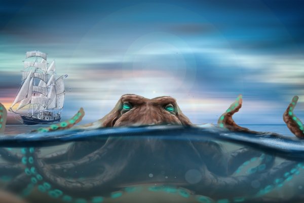 Kraken 19 at
