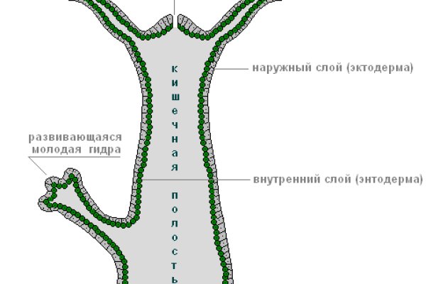 Kra47.at