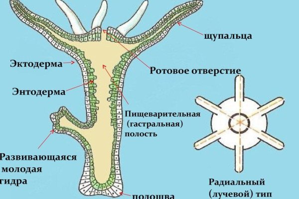 Кракен 9 at