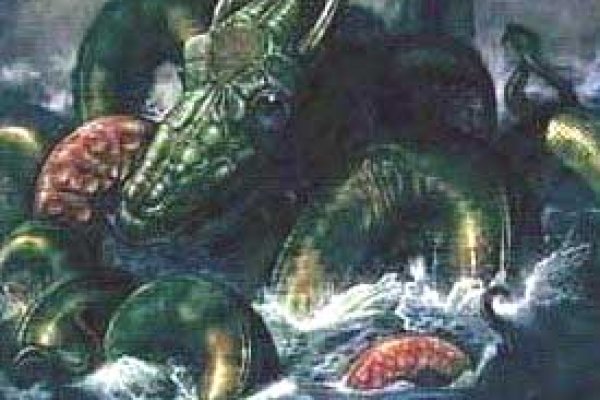 Kraken 17 at