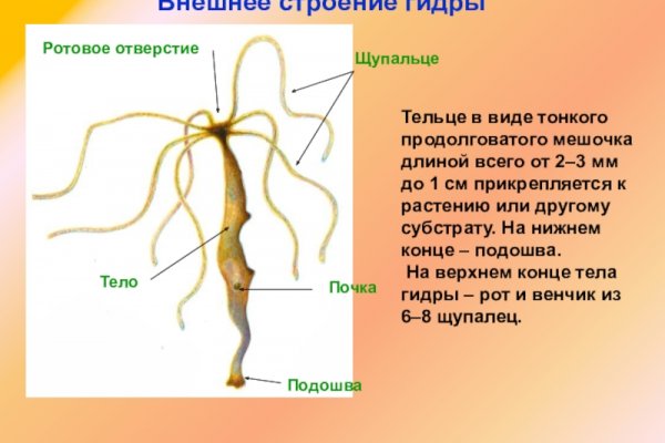 Как попасть на сайт кракен