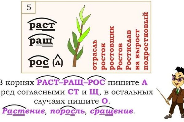 Найти зеркало кракена