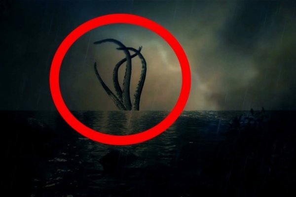Как найти kraken