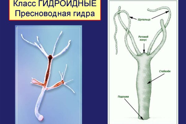 Кракен оригинальные ссылка в тор